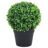 vidaXL Artificial Boxwood Plants 2 pcs with Pots Ball Shaped Green 37 cm