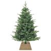 Product Thumbnail Image 3 of 7
