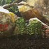 Product Thumbnail Image 2 of 5