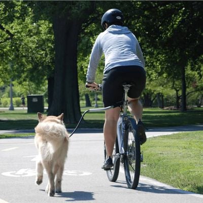PetEgo Universal Bicycle Dog Leash Cycleash 85 cm