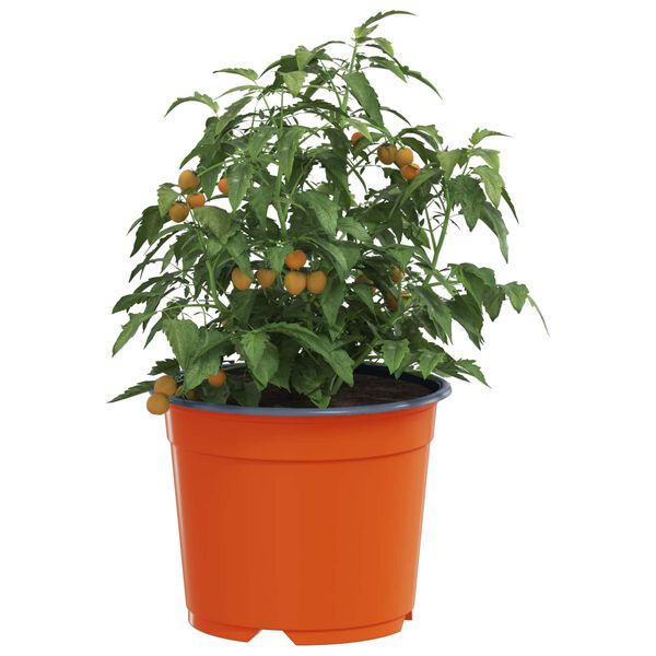 vidaXL Flower Pot 200 pcs Terracotta &Oslash; 10 x 8 cm Plastic