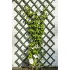 Product Thumbnail Image 2 of 6