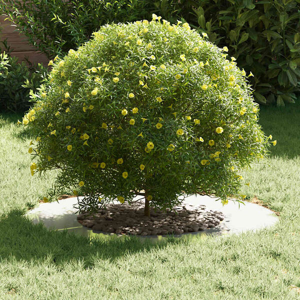 Showing Product Image 3 of 9