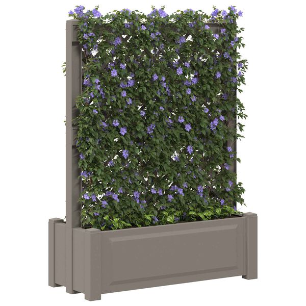 Showing Product Image 2 of 6
