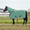 vidaXL Horse Blanket Special Green Polyester