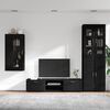 vidaXL TV Cabinet Set with Drawer FLORIN Black Engineered Wood