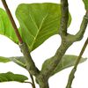 Product Thumbnail Image 4 of 5