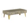 vidaXL Coffee Table Solid Mango Wood Grey with Brass 110x60x35 cm