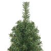 Product Thumbnail Image 4 of 7