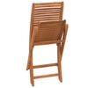 vidaXL Folding Garden Chairs 2 pcs Solid Wood Acacia