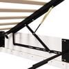 Product Thumbnail Image 11 of 12