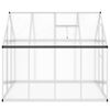 vidaXL Greenhouse with Base Frame Silver 224x169x195 cm Aluminium