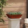 vidaXL Garden Planter 5 pcs Rusty 50 x 50 x 15 cm Weathering Steel