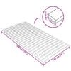 vidaXL Bed Slats Replacement with 24 Slats 100x200 cm