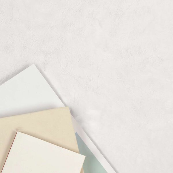 vidaXL Faux Rabbit Fur Rug Olite White 60 x 110 cm Polyester