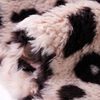 Product Thumbnail Image 6 of 7