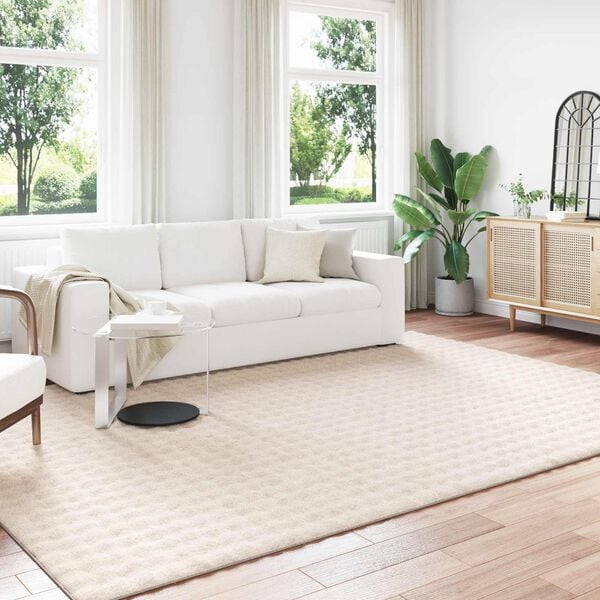 vidaXL Area Rugs Rectangular Beige 340 x 240 cm