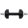 vidaXL 19 Piece Dumbbell Set 15 kg Cast Iron