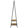 vidaXL Clothes Rack Black 60 x 45 x 180 cm Solid Acacia wood