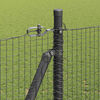 Product Thumbnail Image 5 of 17