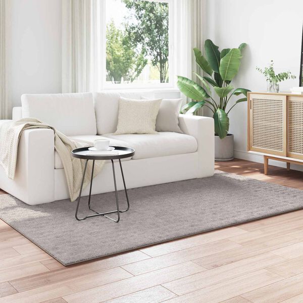 vidaXL Area Rugs Rectangular Sand 230 x 160 cm