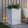 Product Thumbnail Image 3 of 10