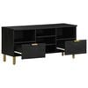 vidaXL TV Cabinet Black 100x33x46 cm Engineered Wood