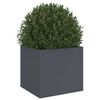 Product Thumbnail Image 4 of 11