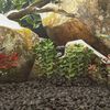 Product Thumbnail Image 2 of 5