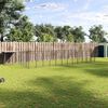 vidaXL Dog Kennel Black 22.99 m² Steel