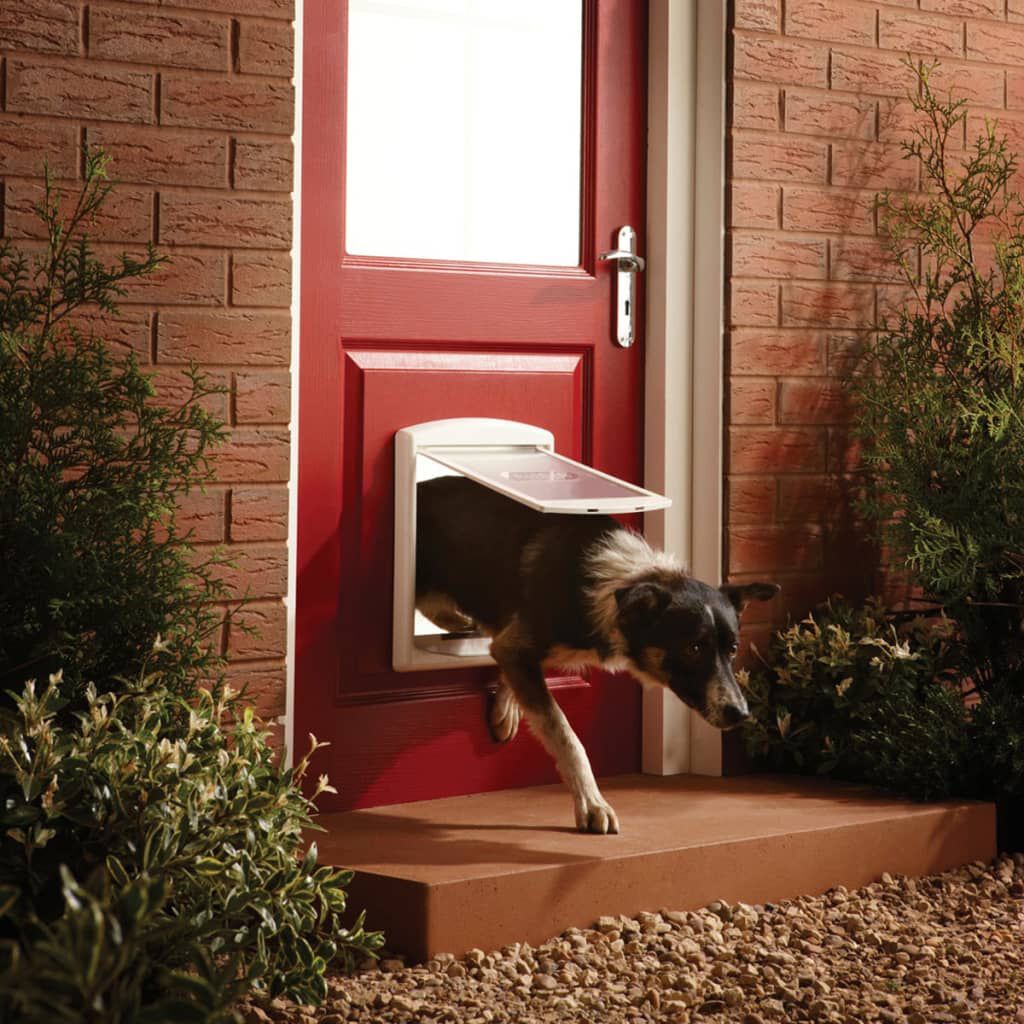 Petsafe medium cheap dog door