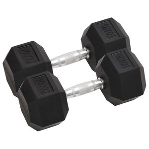 vidaXL Dumbbells 2 pcs 20 kg Total Cast Iron