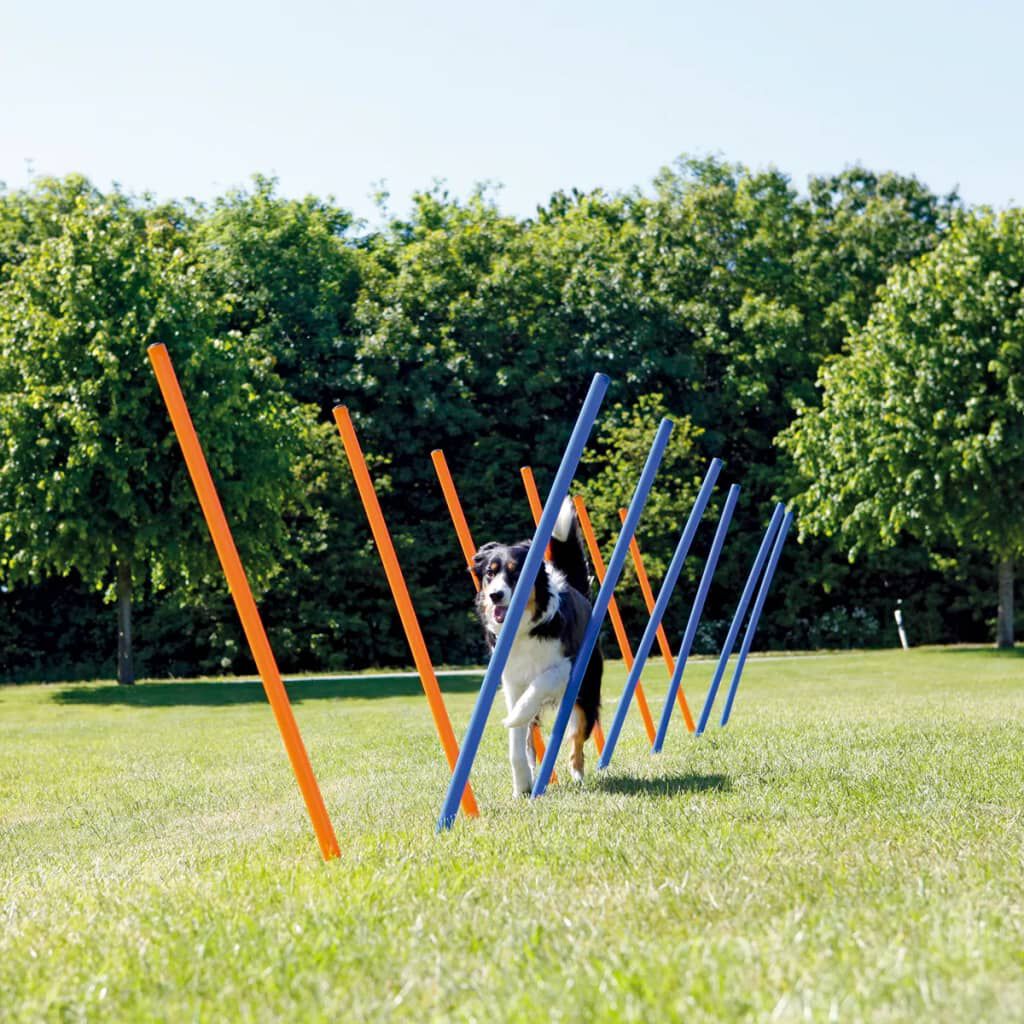 Agility trixie hotsell