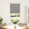 vidaXL Pleated Blind Anthracite 65x100 cm Fabric Width 64.4 cm Polyester