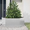 Product Thumbnail Image 2 of 11