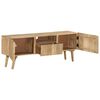 vidaXL TV Cabinet 140x30x49 cm Solid Mango Wood