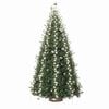 Product Thumbnail Image 6 of 7