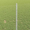 Product Thumbnail Image 4 of 17