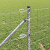 Product Thumbnail Image 4 of 16