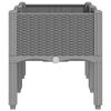 Product Thumbnail Image 4 of 7