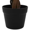 Product Thumbnail Image 5 of 6