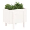vidaXL Garden Planter White 62x50x57 cm Solid Wood Pine