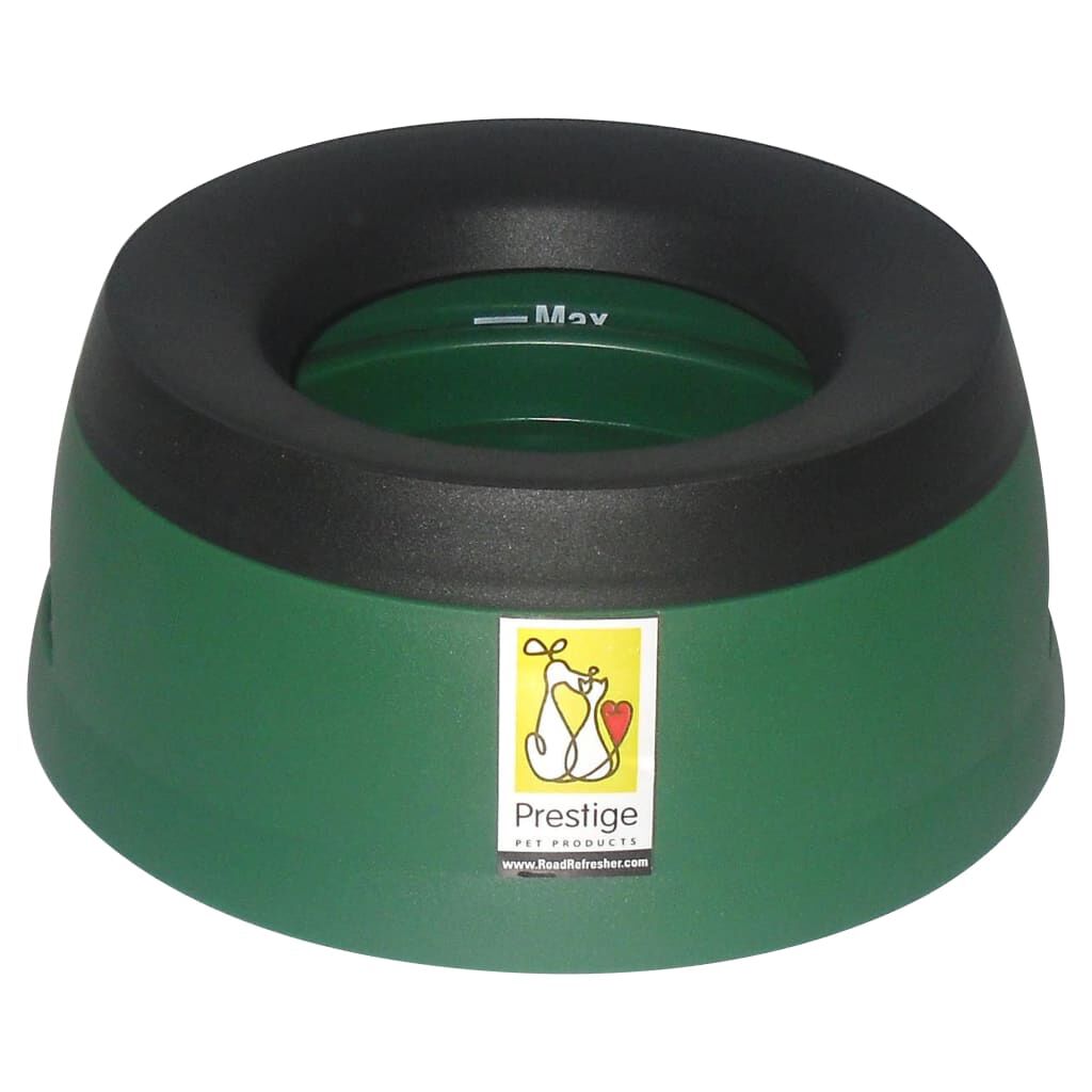 Road Refresher Non Spill Pet Water Bowl Large Green vidaXL