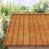 vidaXL Roof Panels 12 pcs Rusty 60x44 cm Corten Steel