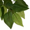 Product Thumbnail Image 3 of 5