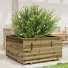 Product Thumbnail Image 2 of 10