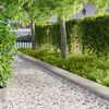 Product Thumbnail Image 2 of 9