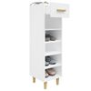 vidaXL Shoe Cabinet White 30x35x105 cm Engineered Wood
