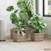 Product Thumbnail Image 2 of 9