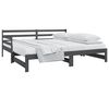vidaXL Pull-out Day Bed without Mattress Grey 2x(80x200)cm